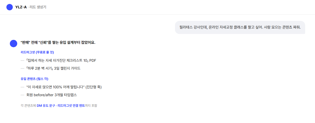 타겟·문제·상품으로 리드마그넷과 유입 콘텐츠를 짜주는 YLZ-A 대화 화면